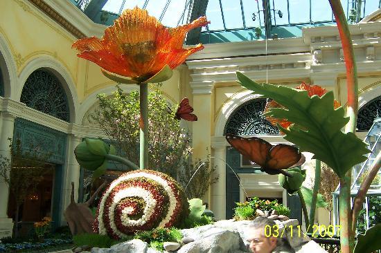 Bellagio Conservatory & Botanical Garden